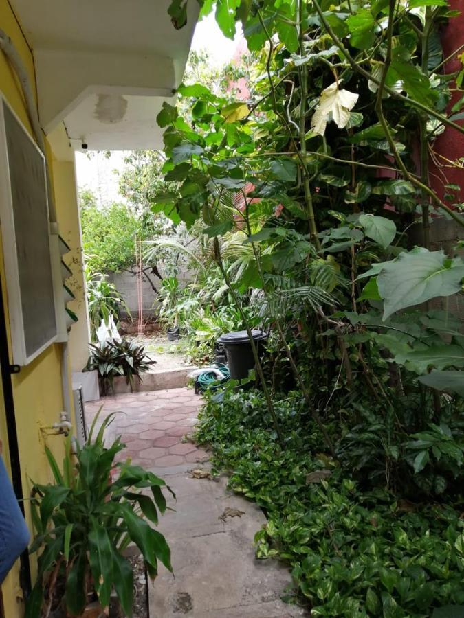 Gaviota Leilighet Playa del Carmen Eksteriør bilde